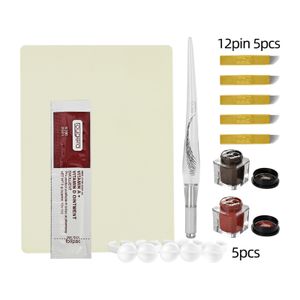 Semi-permanent ögonbryn makeup tatuering kit microblading manuell penna handmake 12pin nålar knivar tatueringar bläck levererar accessorie utrustning