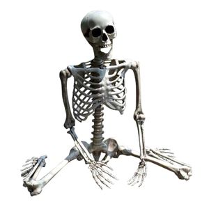 70cm halloween skelett prop mänsklig full storlek skalle handliv kropp anatomi modell dekorhalloween fest dekor för hem y0909