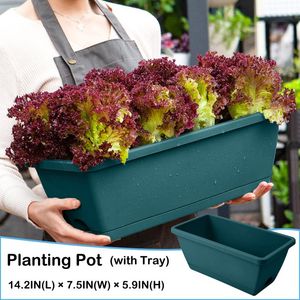 Planters POTS Plantan plantor plantskola