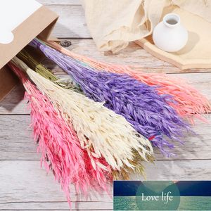 15/25 Pcs Reed Natural Wheat Flower Bunch Dried Pampas Wedding Flower Bunch Bulrush Bouquets for Home Decor Wedding Supplies Factory price expert design Quality
