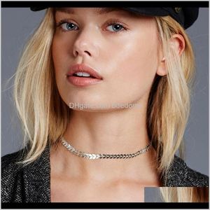 Chokers halsband hängsmycken smycken droppleverans 2021 halsband fisk ben v mynt choker guld sier färg pläterad järnlegering kedja för kvinnor fa