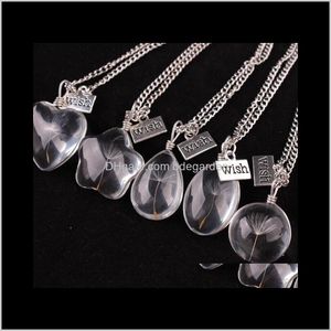 Pendant Necklaces & Pendants Jewelry Bottle Seed In Glass Sier Plated Long Chain Necklace Natural Dandelion Necklace