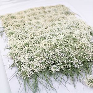 100 pcs, prensado flores brancas de renda com haste, natureza real flor para convite de casamento DIY cartão de presente de bookmark de arte, velas perfumadas 210317