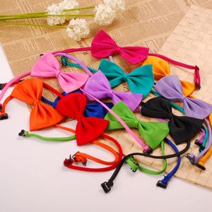 Abbigliamento per cani Cravatta per cani Accessori per toelettatura regolabili per animali Coniglio Papillon per gatti Animali domestici solidi Papillon Cucciolo Bella decorazione Prodotto SN6164