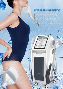 360 Cool Technology Cryo Fat Freezing Macchina dimagrante con 2 maniglie 5 Teste di raffreddamento Dispositivo di rimozione dell'ingrasso