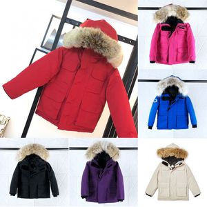 Вниз пальто младенец Зимняя детская куртка для мальчика девочка, детка, верхняя одежда теплые куртки с капюшоном с капюшоном.