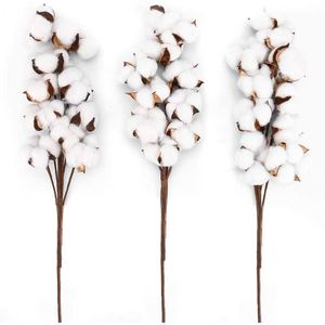 3 sztuk bawełniane łodygi cali bawełniane kwiaty suszone kwiaty kulki Każdy dom w stylu wiejskim Wyświetlacz wazon Wypełniacz Rustykalne dekoracje Q0812