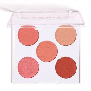 CAKAILA 5 colori Blush Palette Matte Shimmer Contorno guance Ombretto in polvere Alta pigmentazione Facile da indossare Fard Pigmento Cosmetico