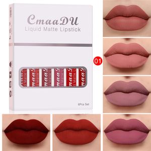 6 cores / conjunto de moda batom líquido lipgloss conjuntos natural hidratante à prova d 'água de veludo labelo glossa caixa de presente maquiagem