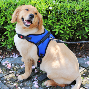 Dog Harness Nylon Reflexivo Ajustável para Medium Naughty Pet Vest Outdoor Walking Supplies