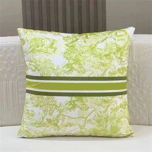 Fashion Luxury Decorative Pillows Designer Cushion Pillow Covers Brand Pillow Tabby Luxurys Designers Pillows lux_home
