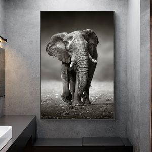 Słoń Plakaty Malarstwo ścienne do salonu Home Decor Black and White Animal Canvas Pictures Drukuje bez ramki