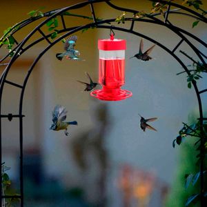Plastmatare Hummingbird Vattenflaska Hängande Hummingbird Matar Trädgård I Open Luft Pet Bird Hook Flower EasyClean Supplies