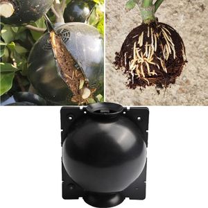 5 Stück Pflanzenwurzelball, Pfropfen, wachsende Box, Zuchthülle, Wurzel für den Garten, 8/12 cm im Durchmesser. Pflanzgefäße