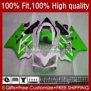 Injection Bodywork For HONDA CBR600F4i CBR600 F4i 04 05 2006 2007 Kit 55No.213 CBR White green 600F4i 600 F4i FS CC F4 i 2004 2005 06 07 600CC CBR600FS 04-07 OEM Fairing