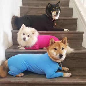 Cão vestuário pijamas jumpsuit onesise simples bonito bonito animal de estimação gato roupas casaco de cachorro para chihuahua pomeranian cães impressão roupas roupas com zíper