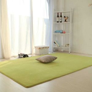 Yinzam Nordic Coral Velvet Carpet For Living Room 200X300 Bed Kids Non-Slip Blanket Bedside Rectangular 80X200 Floor Mat. 210626