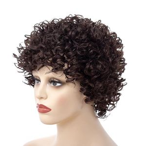 合成のかつらジャーの短い変態な巻き毛のウィッグふわふわの黒い暗い茶色の色のボブの髪型のための中年女性のための髪型