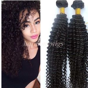 Virgin Hair Bundles Brasilianska Human Hair Weaves Kinky Curly Wefts 8-34INch Obehandlad Peruvian Indian Malaysian Bohemian Hair Extensions