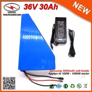 Triangle Electric Bicycle Battery 36V 18650 Samsung Cell Lithium Li Ion Ebike Battery Pack with 2A Charger 42V 30A BMS