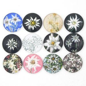 NEW Arrival 18mm Cabochon Glass Stone Button Cabochon Edelweiss Interchangeable Snaps for 18mm Snap Jewelry Bracelet Necklace Ring Earring