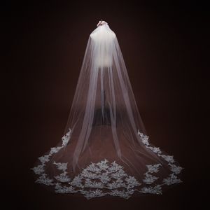 Elegante Nova Chegada Cristal Nupcial Veios Catedral Lace Lace Appliqued 3M Longo Véu de Casamento Com Pente Gratuito