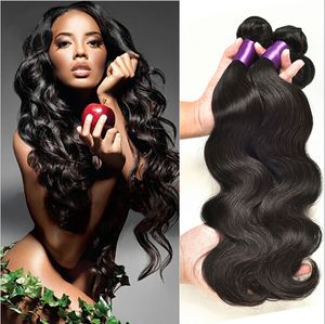 Mink Brazilian Body Wave Human Remy Straight Hair Weaves 100g/st 3st/lot Dubbla inslag Naturlig Svart Färg Human Virgin Hair Extensions