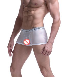 Sexy Underpants Men's Fun Breathable Mesh Hollow Out See Through Boxer Shorts Gay Erotic Comfort Underwear Transparent Men BoxersShorts