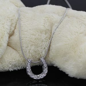 Lead and Nickel Free Equestrian Horseshoe Jewelry Made of Zinc Alloy with Snake Chain and Czech Crystal Horse Shoe Pendant Necklace