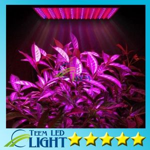 LED GOW LAMP 225 LED Hydroponic Plant Grow Light Panel Röd / Blå 15W LED-växt växtljus 225 LED-panelljus 110-220V 10