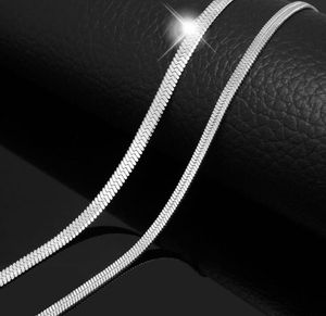 Titan Steel Snake Chain Flat Collarbone Short Blade Halsband för manliga och kvinnliga par