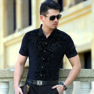 Camicia a maniche corte streetwear moda scolpita motivo drago floreale Estate 2019 Camicia da uomo morbida e confortevole in velluto oro di nuova qualità P0812