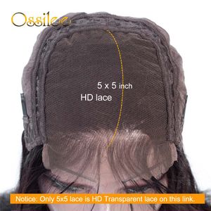 4x4/5x5/6x6/2x6 Lace Closure Wig Human Hair Lace Wigs for Women Brazilian Remy Hair Straight Human Hair Wigs 250% 28factory dire