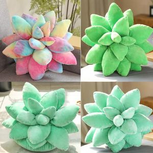 Cute 3D Succulente Cactus Cuscino Amanti verdi Baby Plant Cuscini per giardino Camera da letto Decorazione della casa Novità Cuscino peluche HH21-47