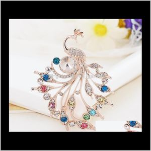 Pimler, Damla Teslimatı 2021 Tam Rhinestone Kristal Peacock Broşes Moda Düğün Prom Partisi Pinler Kostüm Takı Kor Broş Erkek Kadın Gi