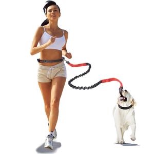 Handfri Retractable Dog Leash För Golden Retriever Bull Terrier Husky Pug Mascotas Accesor Flexi Martingale Laisse Chien 210729