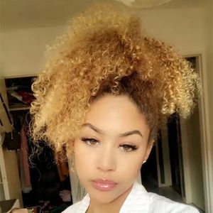 Honey blonde Short Curly Ponytail Extension Drawstring Hair Bun Extension With Two Plastic Combs Hairpiece for Women 14" #27