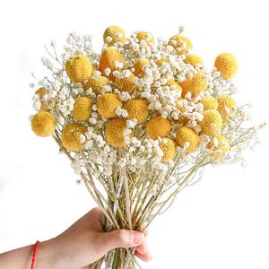 Real Secado Pampas Grama Casamento Flor Bunch Plantas Natural Decoração Decoração Driada Flores Artificiais Phragmites Bola Dourada Pompom Y0630