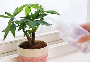 250/500 ML Mini Plastik Bitki Çiçek Sulama Ekipmanları Şişe Püskürtücü Kavisli Ağız Sulama Etli Bitkiler İçin Şeffaf DIY Bahçe