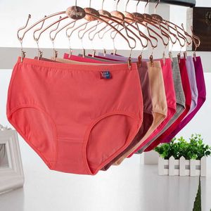 10pcs/Los Baumwolle unterbessen Frauen in Plus Größe 5xl Süßigkeiten Farben Dessous Frauen -Slips Sh190906