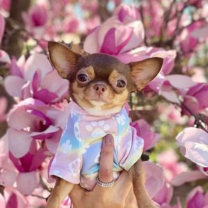 Французская роскошная дизайнерская одежда для собак, летняя футболка, короткая тонкая хлопковая футболка Тедди, одежда на двух ногах для маленьких собак среднего размера Clot217L