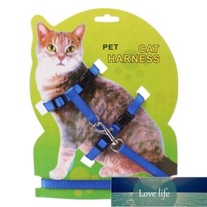 Regulowany Pet Traction Rope Dog Cats Spacer Out Nylon Harness Collar Lead Leash Traction Małe Duże Psy Bezpieczeństwa Liny Cena Fabryczna Ekspert Najnowszy styl