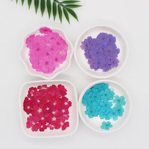 Decorative Flowers & Wreaths Verbena Hybrida Voss Pressed Natural Dried For Art Resin Supplies DIY Candle Making24pcs/bag