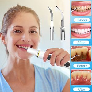 Irrigatori orali Rimozione del calcolo del calcolo denti per i denti Cleaner Tartar Elettrico Plaque Scaler ad ultrasuoni Animali domestici Sbiancamento del dente Rimozione con LED LIG