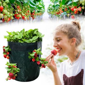 Planters & Pots DIY Strawberry Planter PE Cloth Planting Container Bag Garden Pot Vegetable Growing Bags Moisturizing Vertical