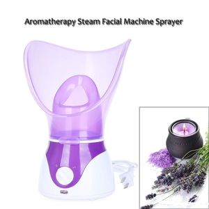 Multifunktionell uppladdningsbar Nano Facial Steamer Mist Sprayer Power Clean Skin Steam Instrument