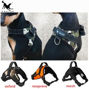 Produkty dla zwierząt Duża uprząż Psa K9 Świecące LED Collar Puppy Zwierzęta Kamizelka Prowadzi Akcesoria Chihuahua