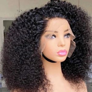 Glueless Deep Curly Sythetic Lace Front Wig Heat Resistant Fiber Full Thick Desnity Afro Kinky Curly PrePlucked Natural Hairline