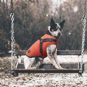 Köpek Giyim Kış Giysileri Sıcak Su Geçirmez Koşum Ceket Ceket Küçük Orta Köpekler Kaniş Teddy Bear Puppies Pet Yastık Yelek