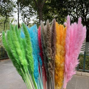 Decorative Flowers & Wreaths Dekoration Natural Dried Pampas Grass Phragmites Artificial Plants Small Reed Flower Bunch For Home Decor Weddi